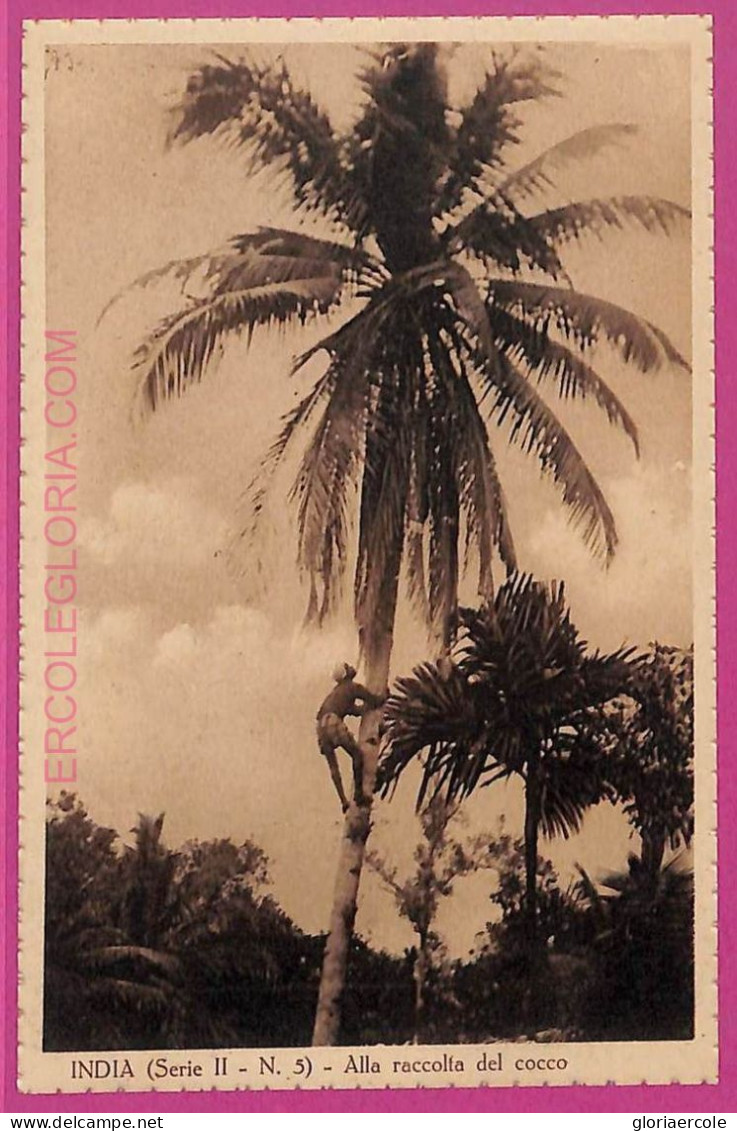 Ag3680 - INDIA - VINTAGE POSTCARD - ETHNIC - India