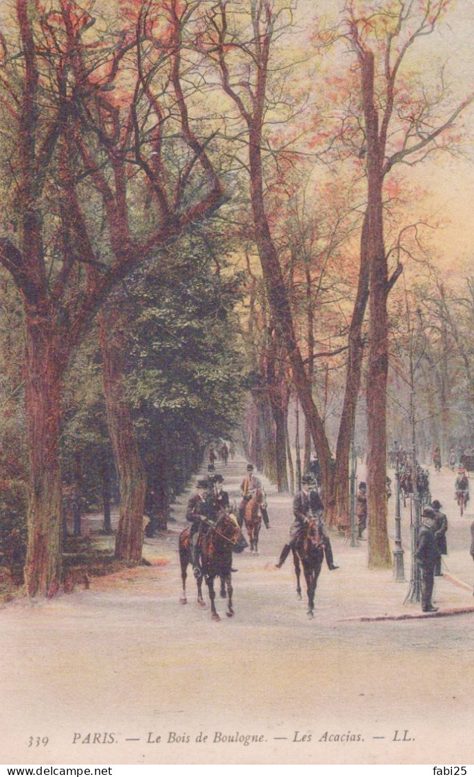 PARIS LE BOIS DE BOULOGNE LES ACACIAS - District 16