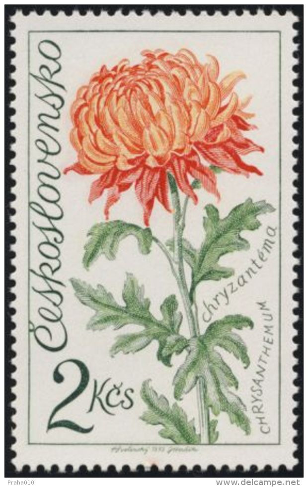 Czechoslovakia / Stamps (1973) 2040: Flora Olomouc (Chrysanthemum); Painter: Karel Svolinsky - Otros & Sin Clasificación