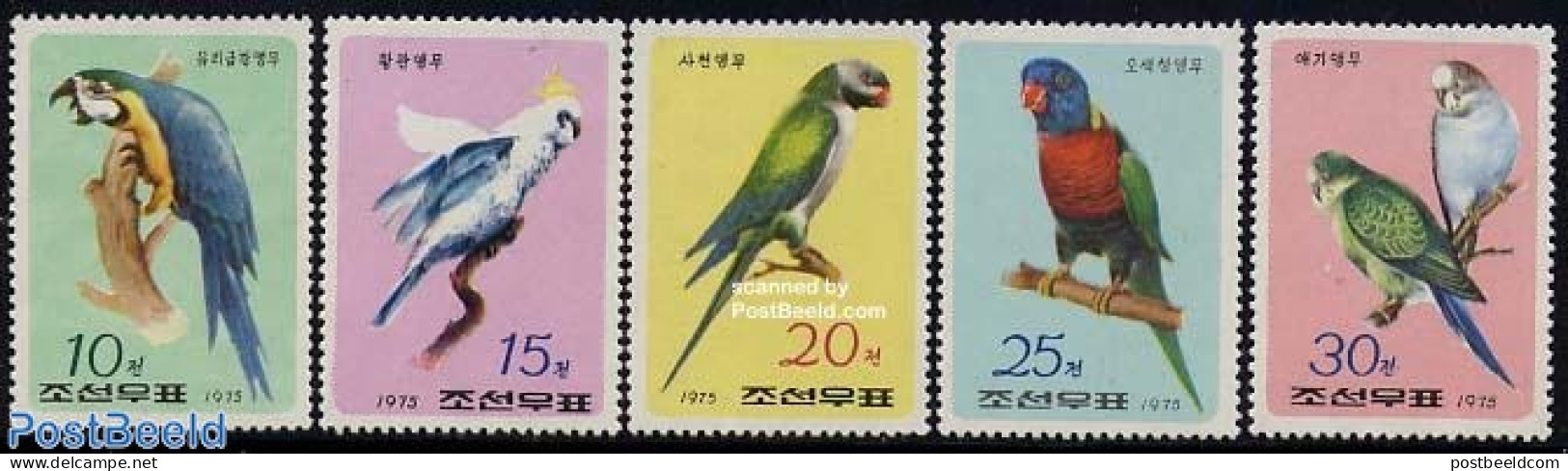 Korea, North 1975 Parrots 5v, Mint NH, Nature - Birds - Parrots - Korea (Noord)