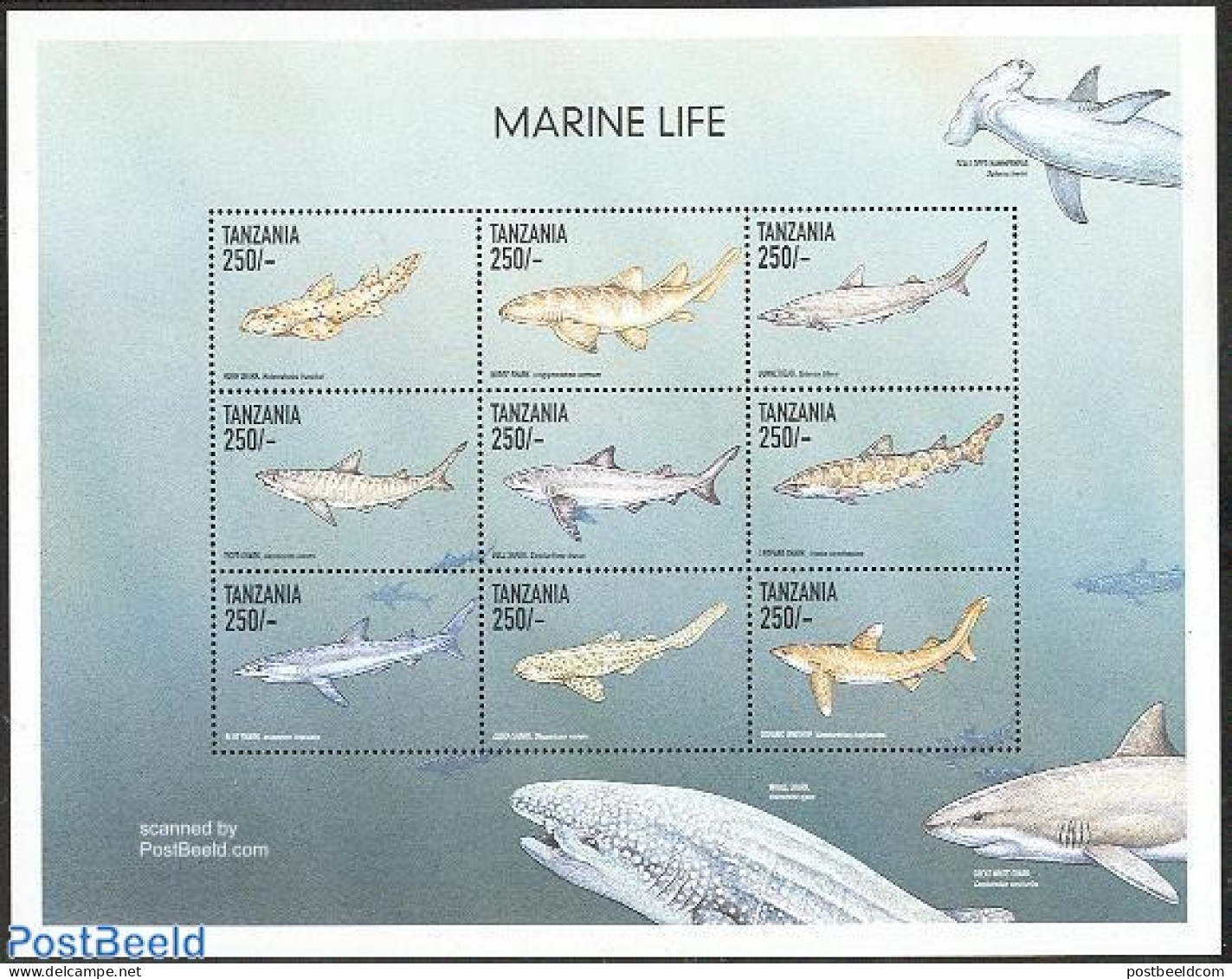 Tanzania 1999 Marine Life 9v M/s, Mint NH, Nature - Fish - Sharks - Poissons