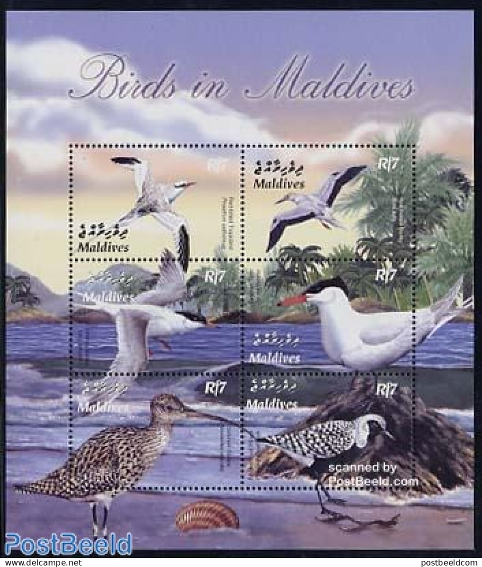 Maldives 2003 Birds 6v M/s, Red Billed Tropicbird, Mint NH, Nature - Birds - Malediven (1965-...)