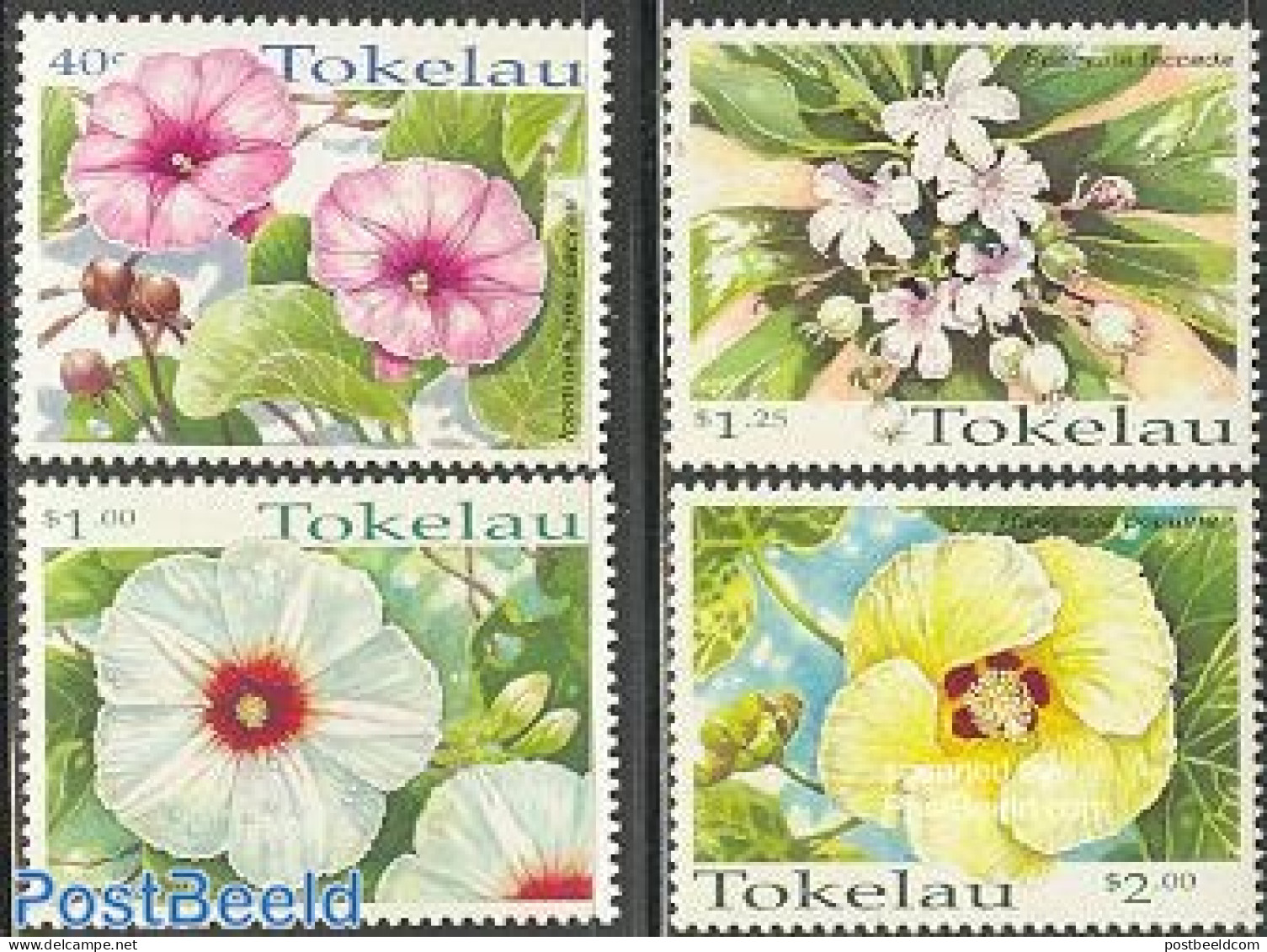 Tokelau Islands 1998 Flowers 4v, Mint NH, Nature - Flowers & Plants - Tokelau