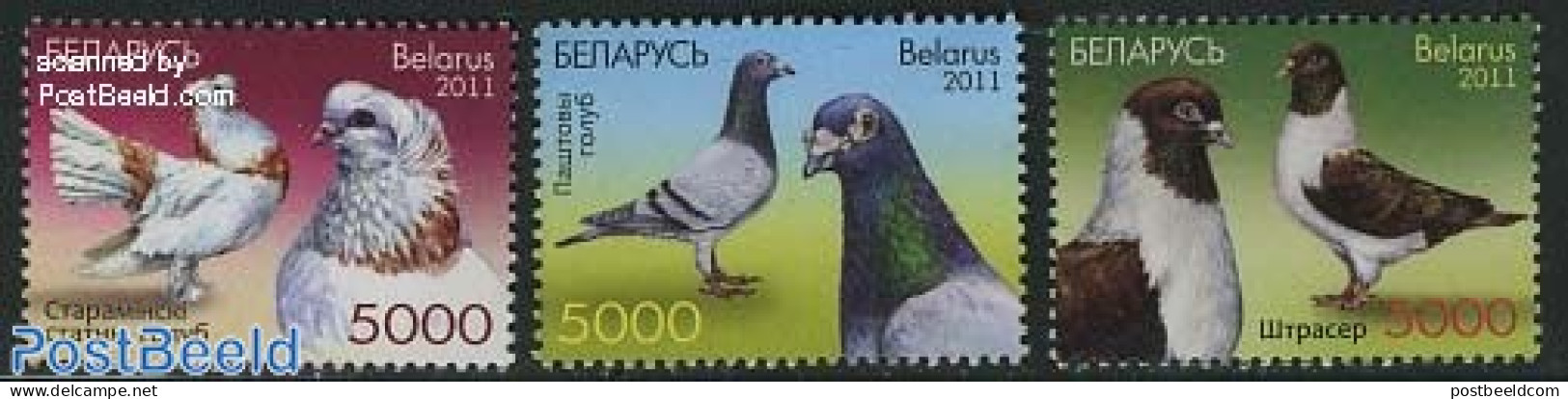 Belarus 2011 Pigeons 3v, Mint NH, Nature - Animals (others & Mixed) - Birds - Belarus