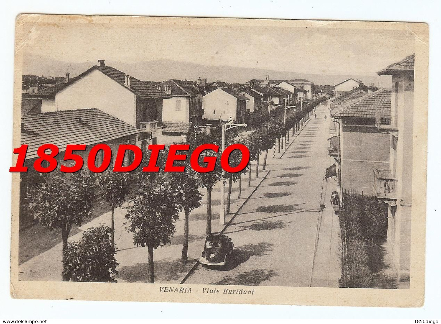 VENARIA - VIALE BURIDANI F/GRANDE VIAGGIATA 1952? - Sonstige & Ohne Zuordnung