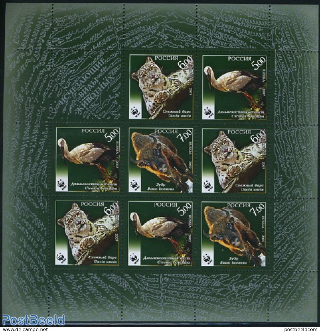 Russia 2007 WWF M/s, Mint NH, Nature - Animals (others & Mixed) - Birds - Cat Family - World Wildlife Fund (WWF) - Autres & Non Classés