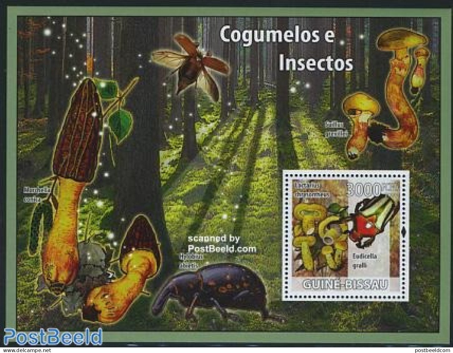 Guinea Bissau 2008 Mushrooms & Insects S/s, Mint NH, Nature - Insects - Mushrooms - Pilze