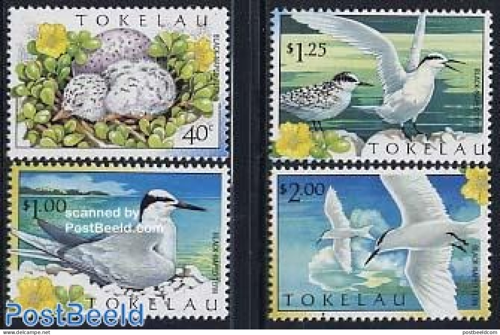 Tokelau Islands 1999 Birds 4v, Mint NH, Nature - Birds - Tokelau