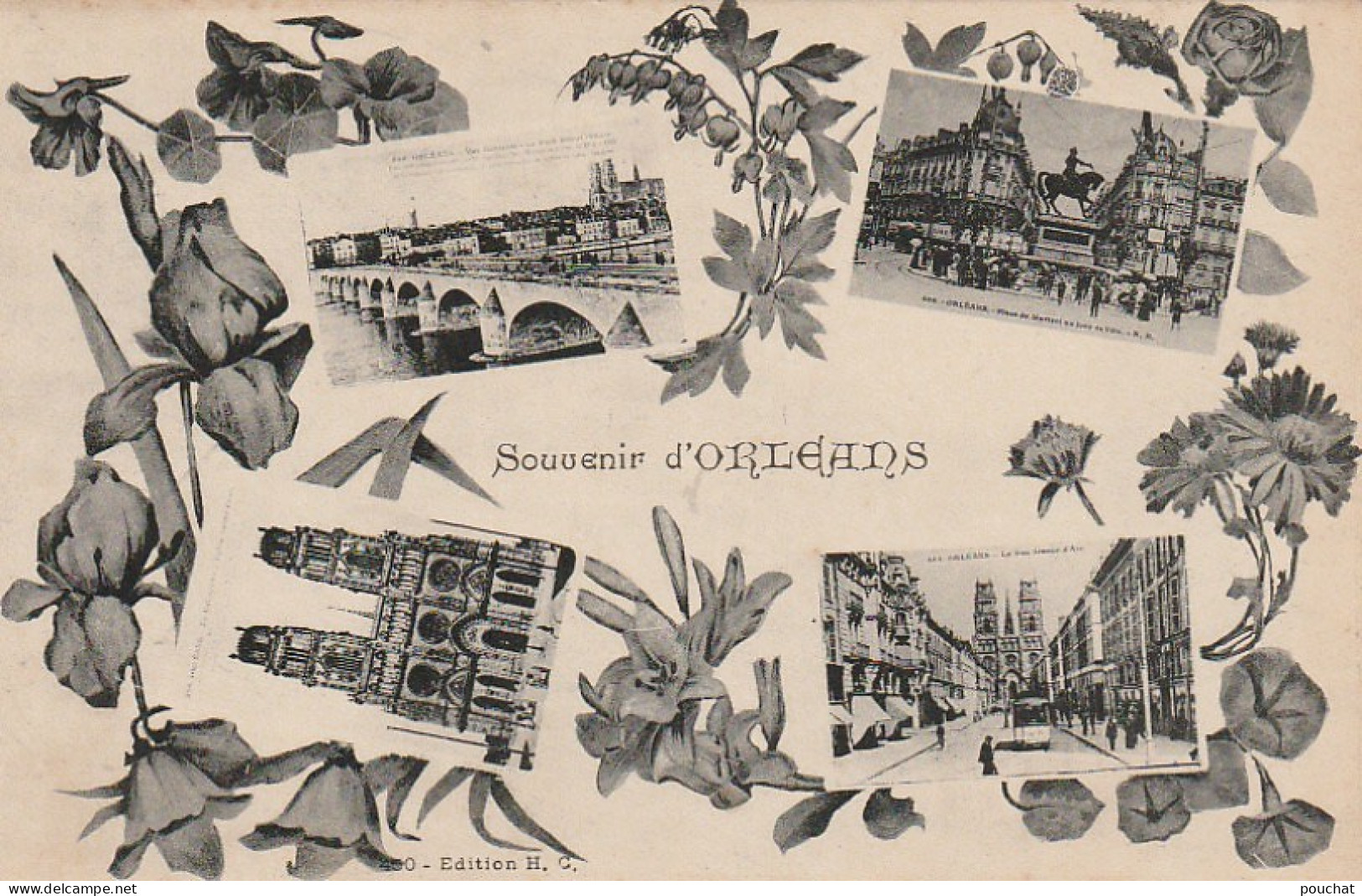 ZA 8-(45) SOUVENIR D' ORLEANS  - CARTE FANTAISIE MULTIVUES ET DECOR FLORAL - 2 SCANS - Orleans