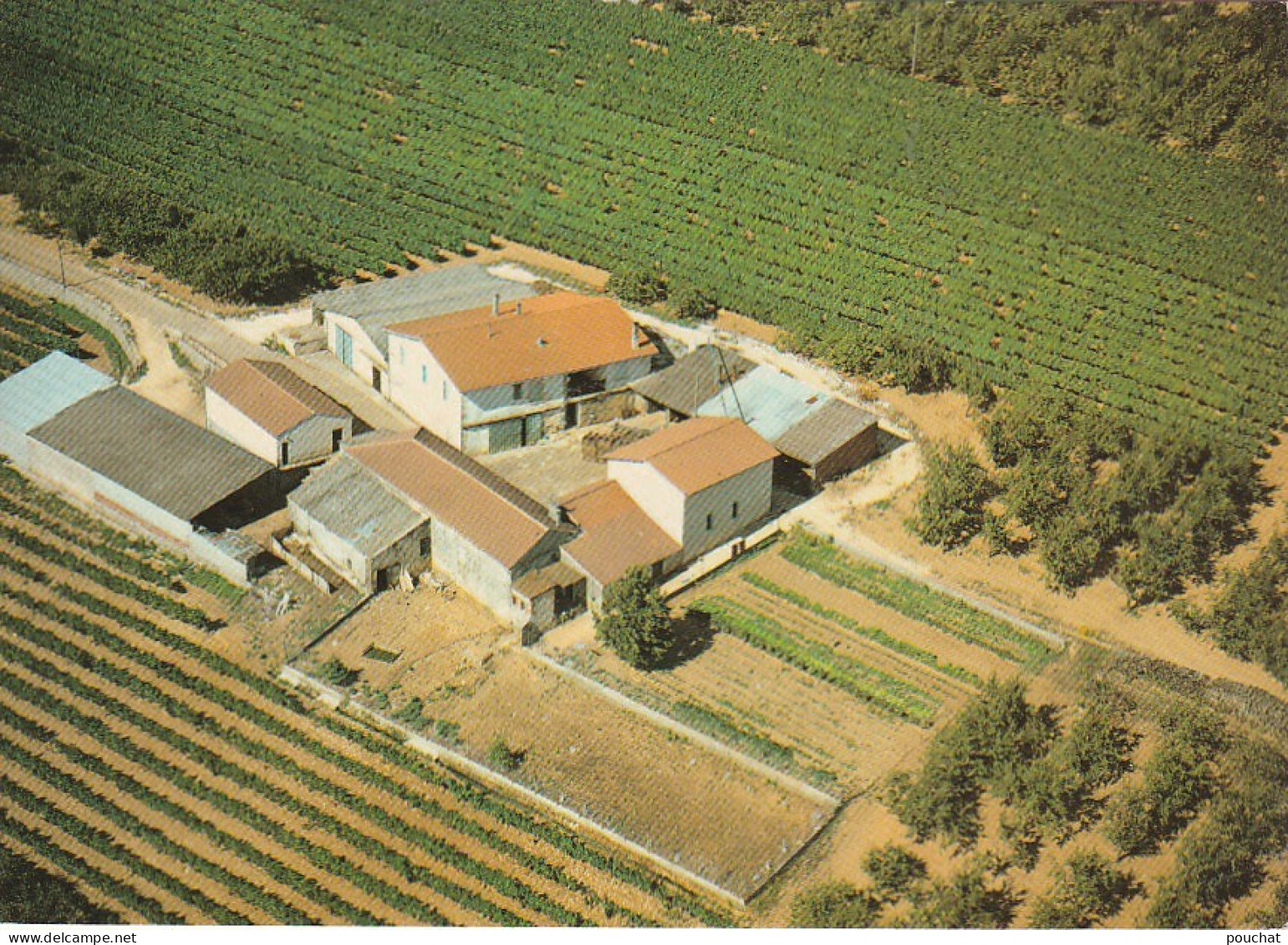 ZA 9-(46) VIRE SUR LOT , LIEU DIT " GARRIGUES "- VIGNOBLE PROP. ROGER LABRUYERE - VUE AERIENNE - CARTE COULEURS - Sonstige & Ohne Zuordnung