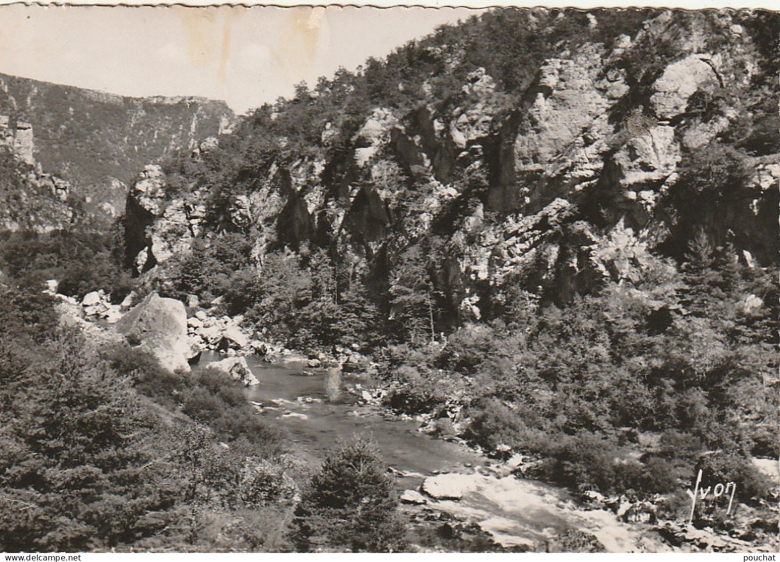 ZA 10-(48) GORGES DU TARN - LES VIGNES - LE PAS DE SOUCI VU DU BELVEDERE - 2 SCANS - Gorges Du Tarn