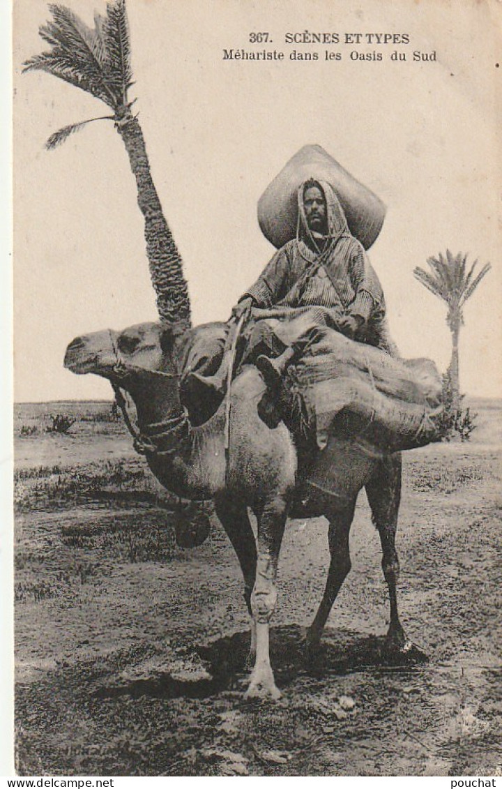 ZA 14- MEHARISTE DANS LES OASIS DU SUD - HOMME A DOS DE DROMADAIRE - 2 SCANS - Afrika