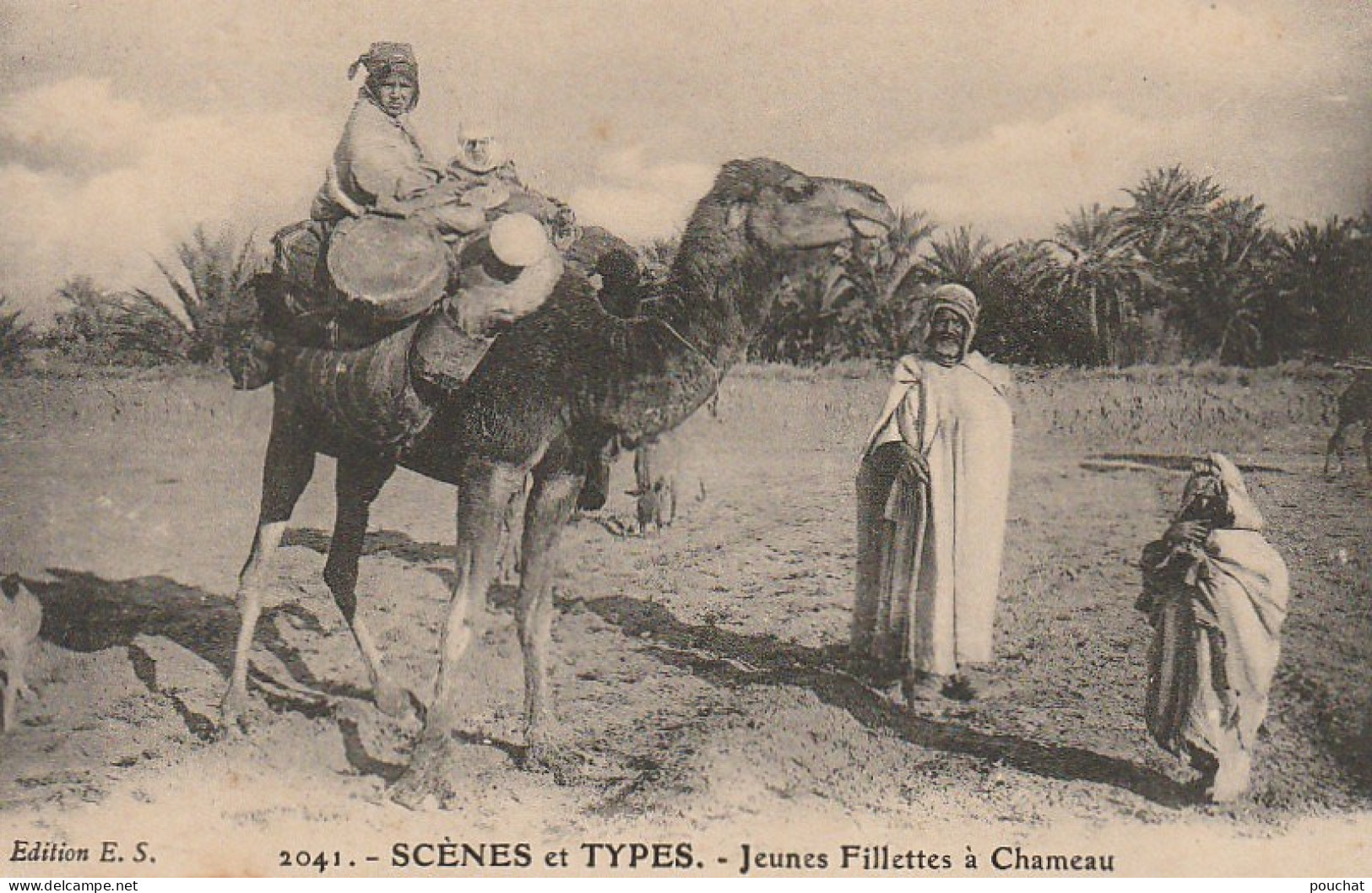 ZA 14- SCENES ET TYPES - JEUNES FILLETTES A CHAMEAU - EDIT. E S - 2 SCANS - Afrique