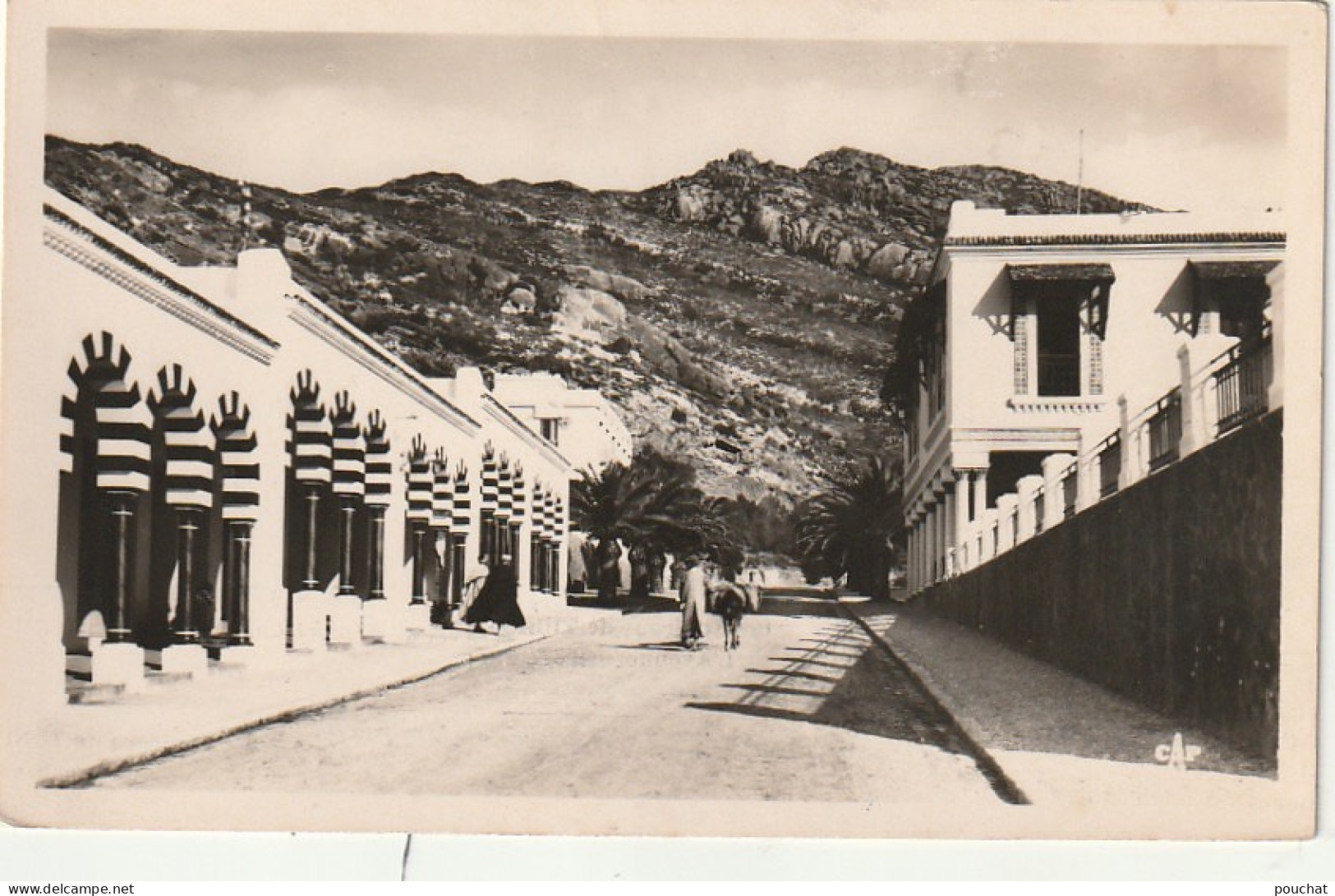 ZA 15- KOURBOUS ( TUNISIE ) - L' AVENUE LECORE CARPENTIER - 2 SCANS - Tunesië