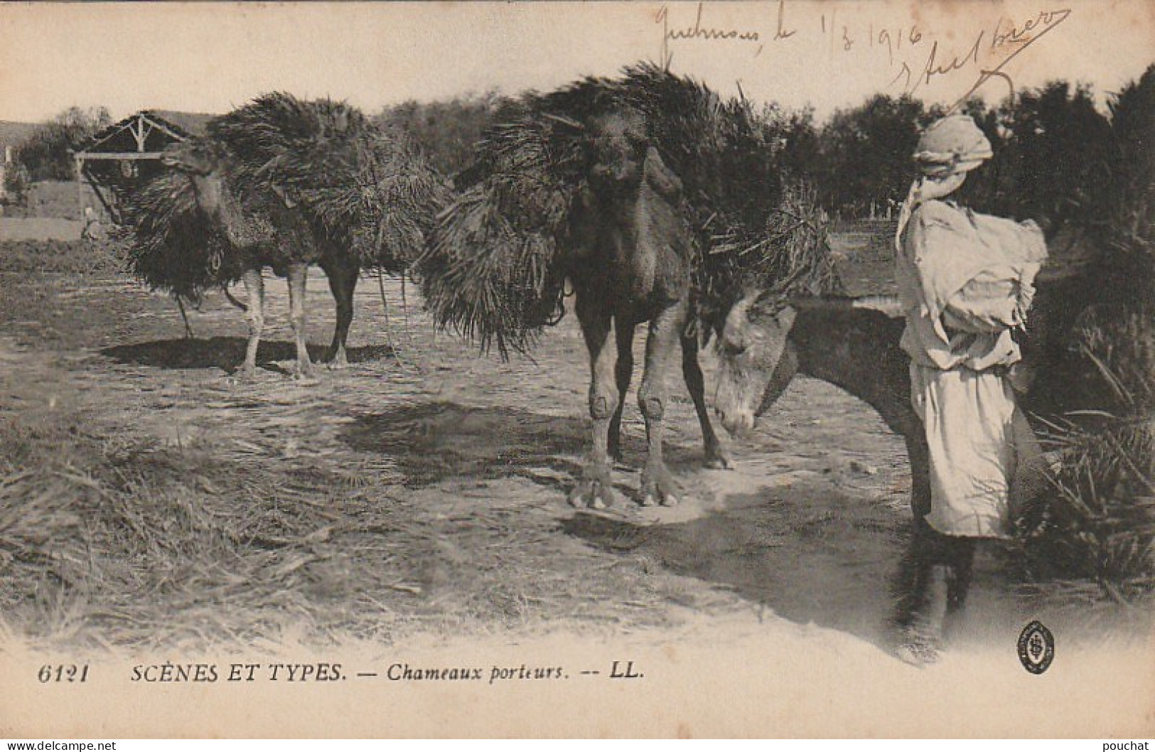 ZA 16-( MAROC ) -  CHAMEAUX PORTEURS - CORRESPONDANCE DU MAROC 01/03/1916 - 2 SCANS - Afrique