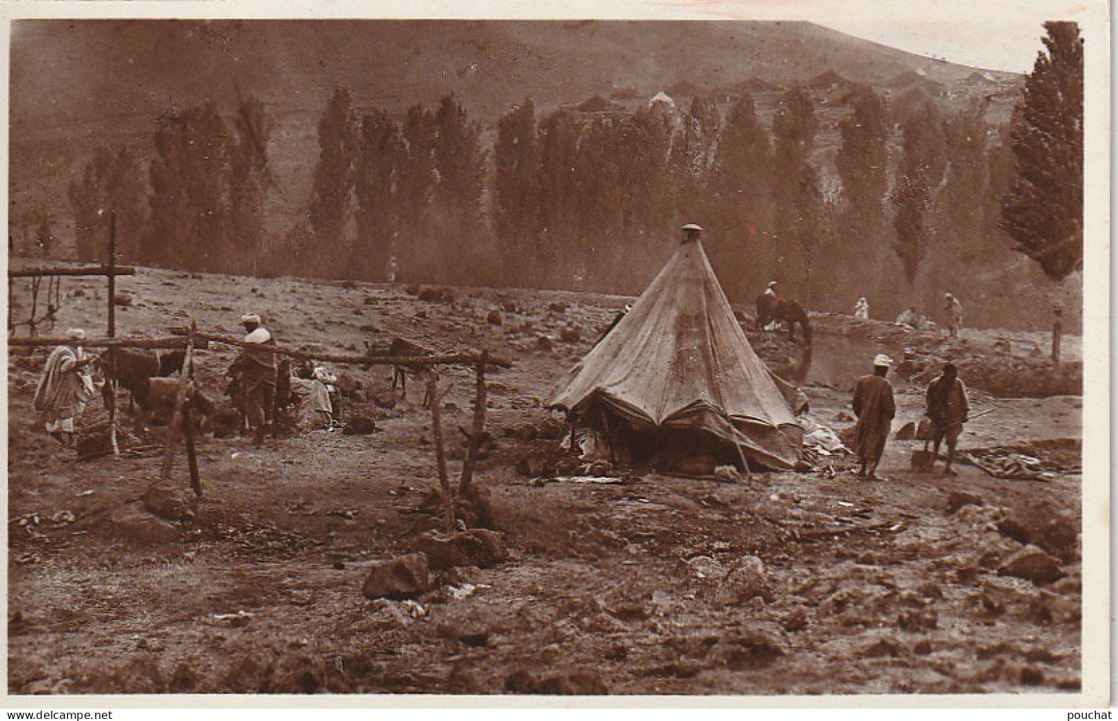 ZA 16- UN CAMPEMENT INDIGENE - ANIMATION - EDITION LA CIGOGNE , CASABLANCA - 2 SCANS - Afrika