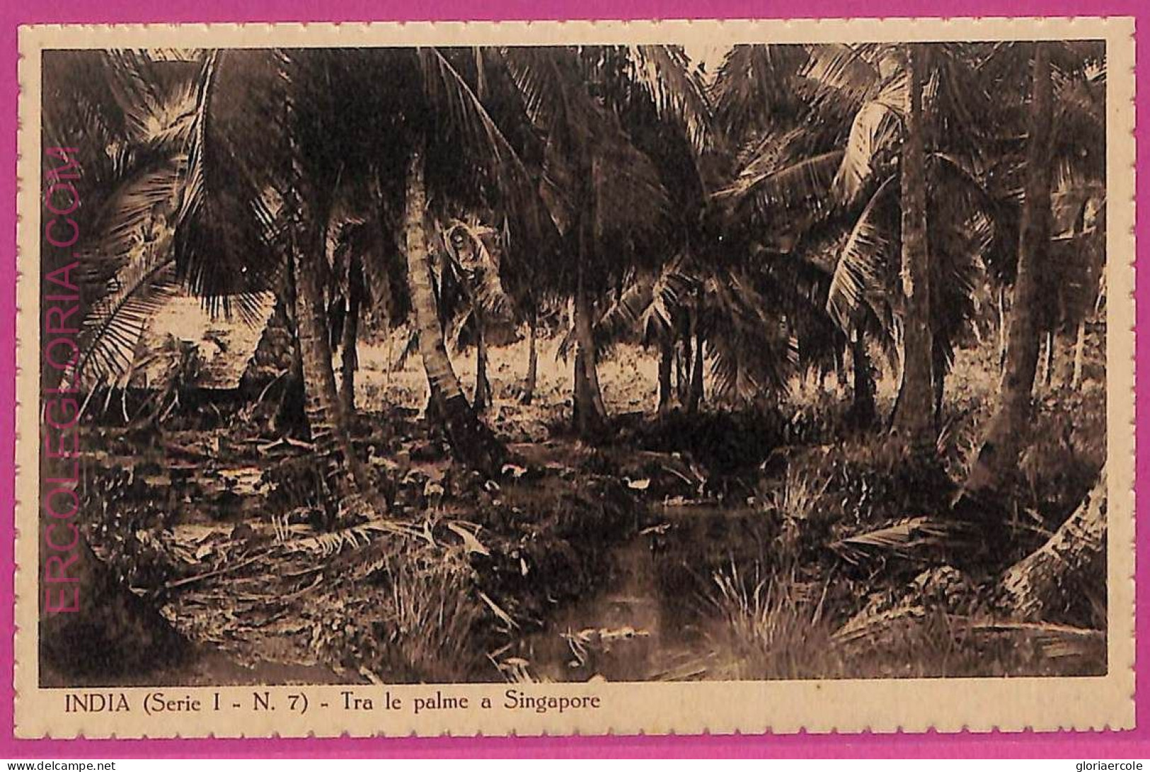 Ag3694  - INDIA - VINTAGE POSTCARD - Singapore - Inde