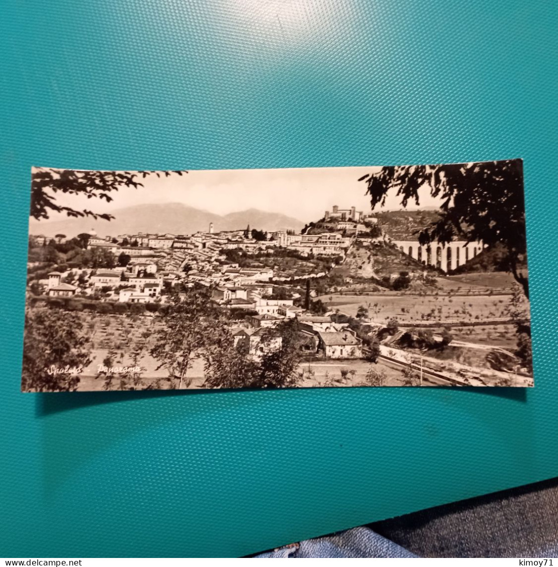 Cartolina Spoleto - Panorama. Non Viaggiata - Perugia
