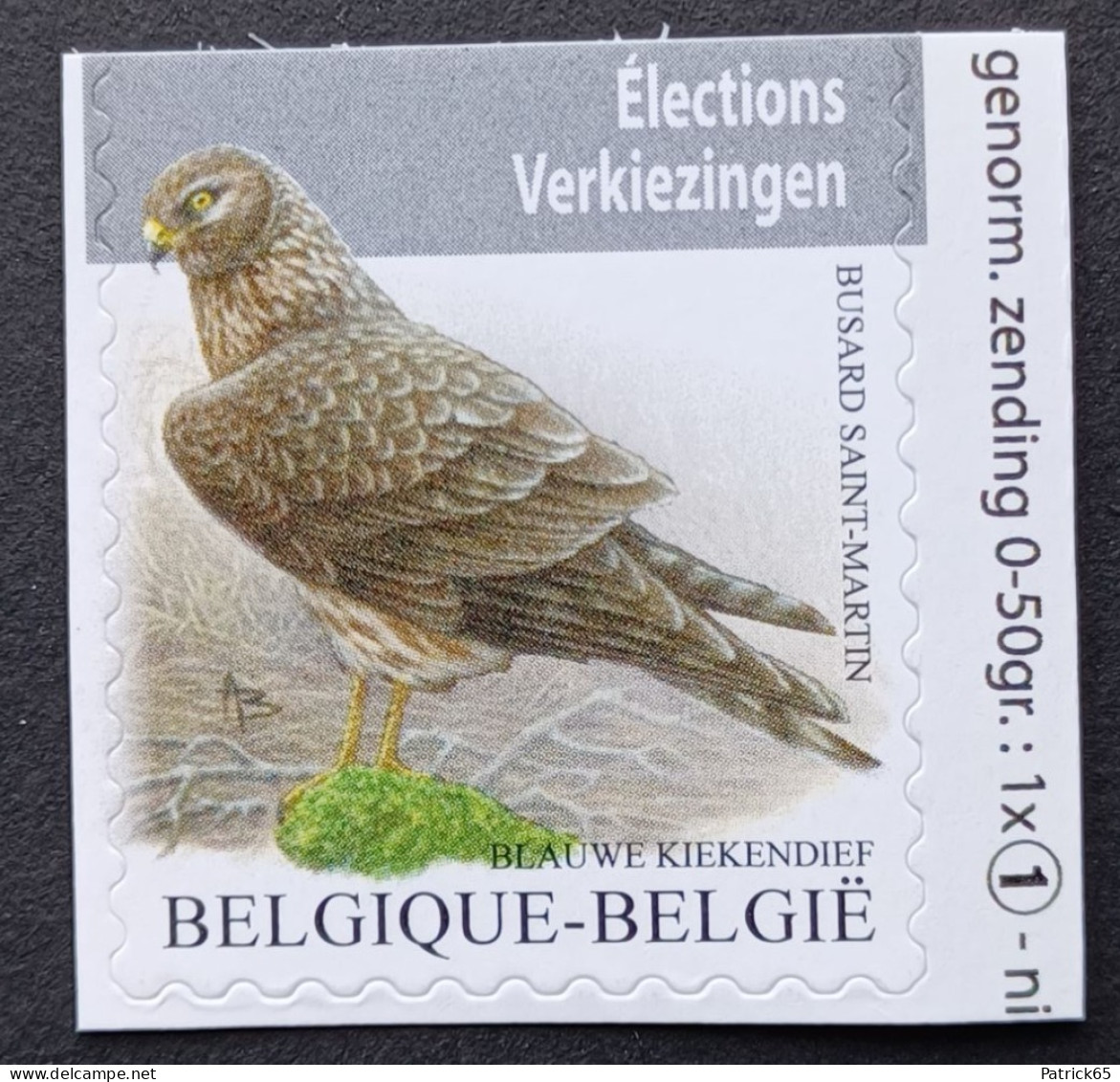 Belgie 2024 Vogels Buzin - Blauwe Kiekendief - MNH - Nuovi
