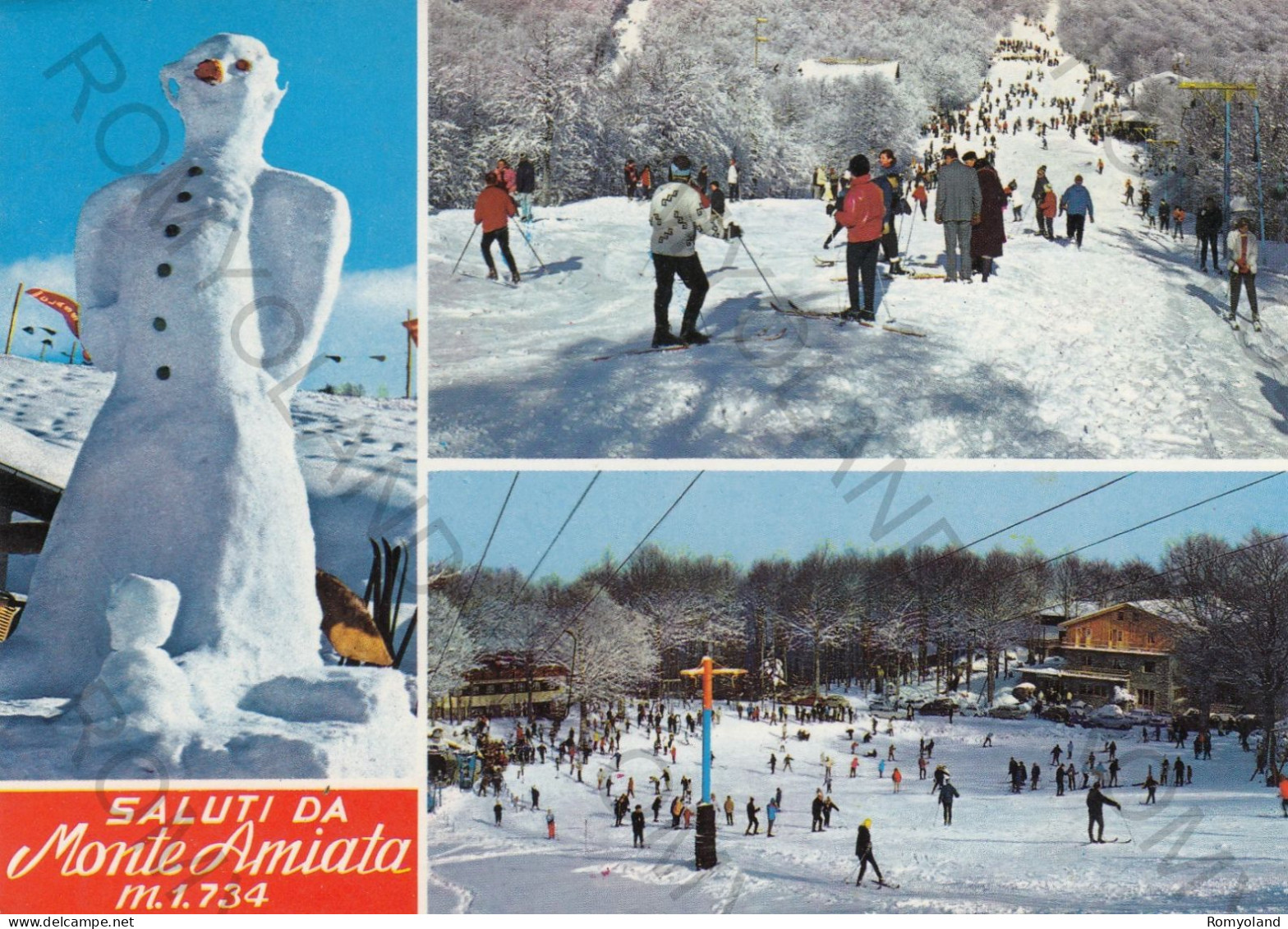 CARTOLINA  MONTE AMIATA M.1734,GROSSETO,TOSCANA-STAZIONE CLIMATICA E DI VILLEGGIATURA-SPORTS INVERNALI-VIAGGIATA 1989 - Grosseto