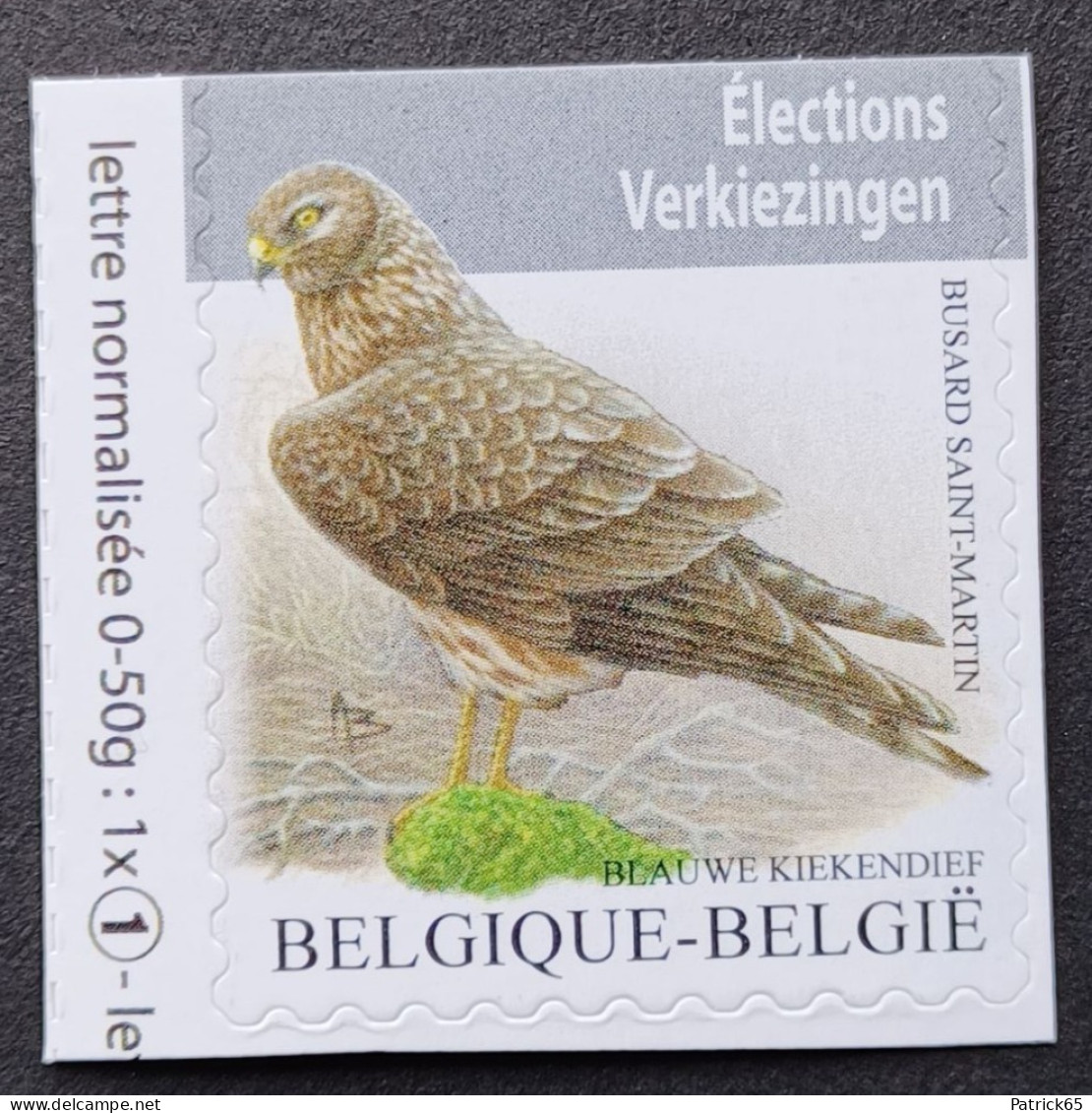 Belgie 2024 Vogels Buzin - Blauwe Kiekendief - MNH - Ungebraucht