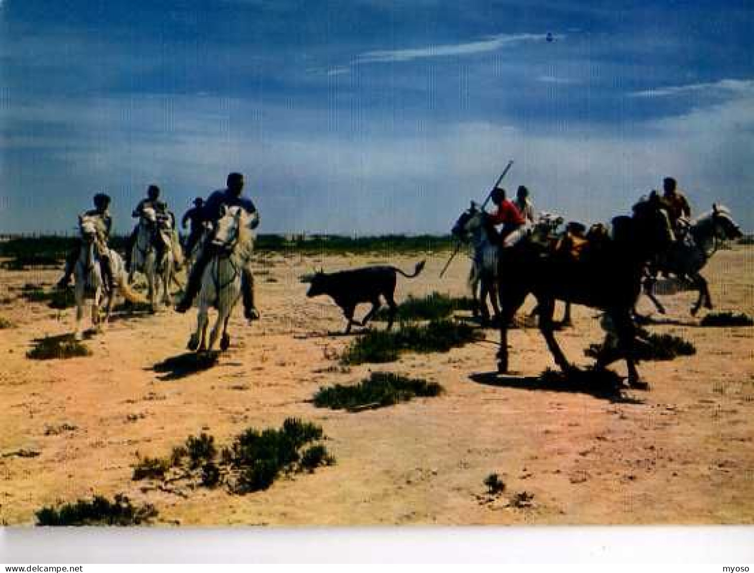 En CAMARGUE La Ferrade - Sonstige