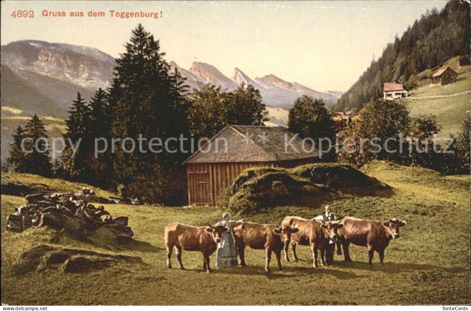 12015860 Toggenburg Alm Kuehe Landschaft Appenzeller Alpen Churfirsten - Sonstige & Ohne Zuordnung