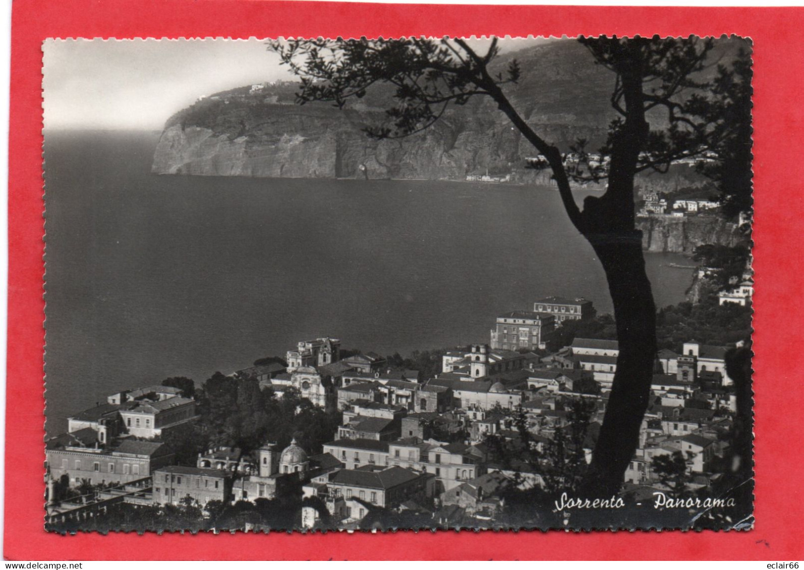 Sorrente PANORAMA Ville Côtière Située Au Sud-ouest De L'Italie,CAMPAGNIA   Face à La Baie De Naples CPM 1959 - Napoli