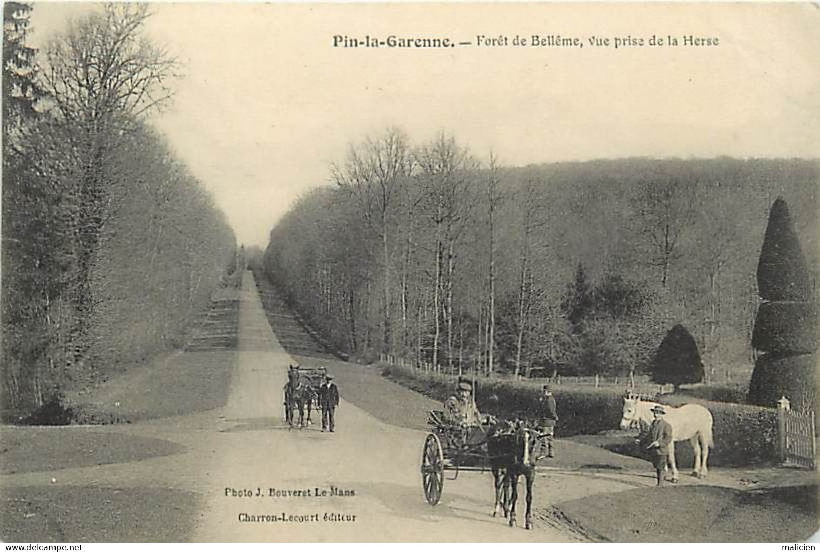 - Orne -ref-B780- Pin La Garenne - Forêt De Belleme - Vue Prise De La Herse - Attelages Chevaux - - Autres & Non Classés