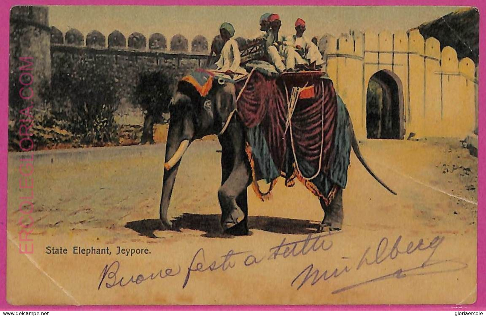 Ag3708  - INDIA - VINTAGE POSTCARD - 1906 -  Jeypore, State Elephant - India