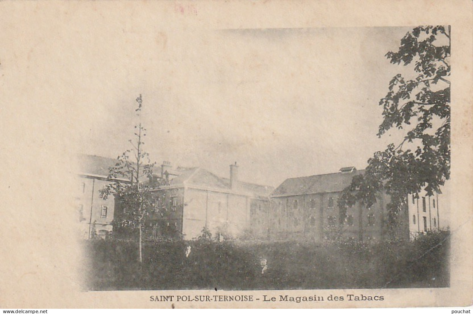 Z+ 10-(62)  SAINT POL SUR TERNOISE - LE MAGASIN DES TABACS - 2 SCANS - Saint Pol Sur Ternoise