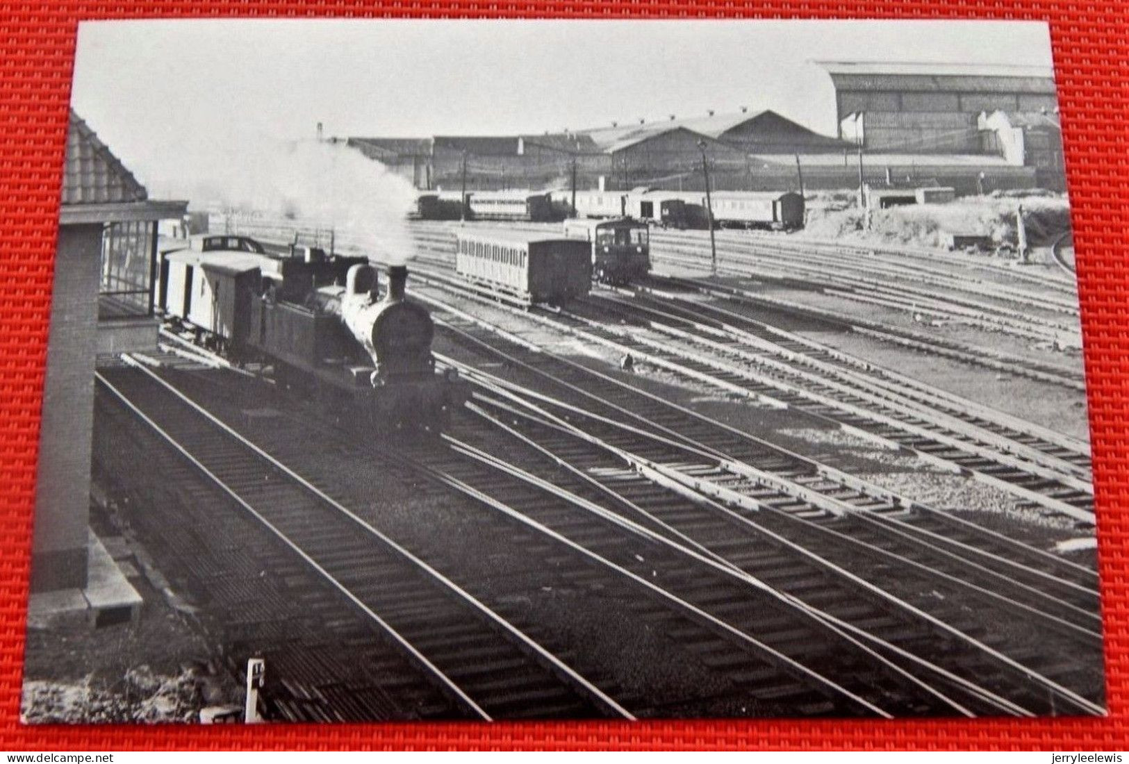 TRAINS - SNCB - HAINE SAINT PIERRE En 1956 -  Vue Sur La Formation Avec Une Locomotive Tender Du Type 16 - Stations With Trains
