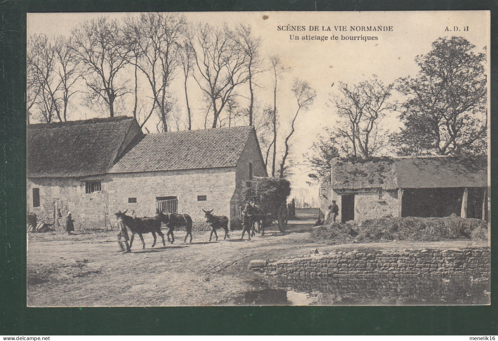 CP - Rég. - Scène De La Vie Normande - Un Attelage De Bourriques - Haute-Normandie