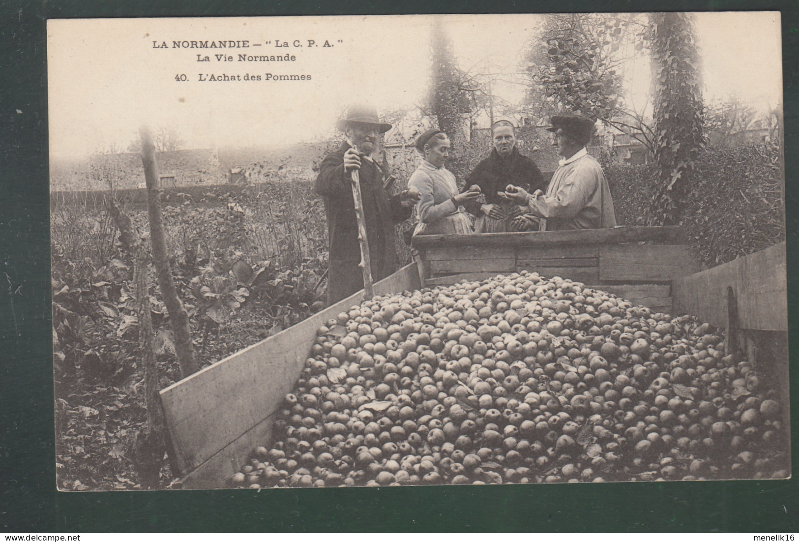 CP - Rég. - La Normandie - L'achat Des Pommes - Haute-Normandie