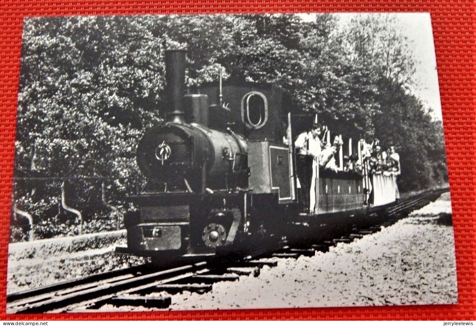 TRAINS - SNCB  - Ligne 115 De REBECQ à ROGNON -  Chemin De Fer Touristique - Trenes