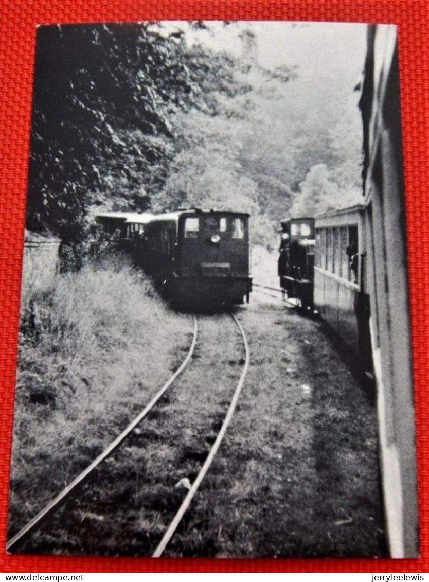 TRAINS - SNCV  - Ligne De TREMBLEUR-MORTROUX à WARSAGE En 1977  - Chemin De Fer Touristique - Trains