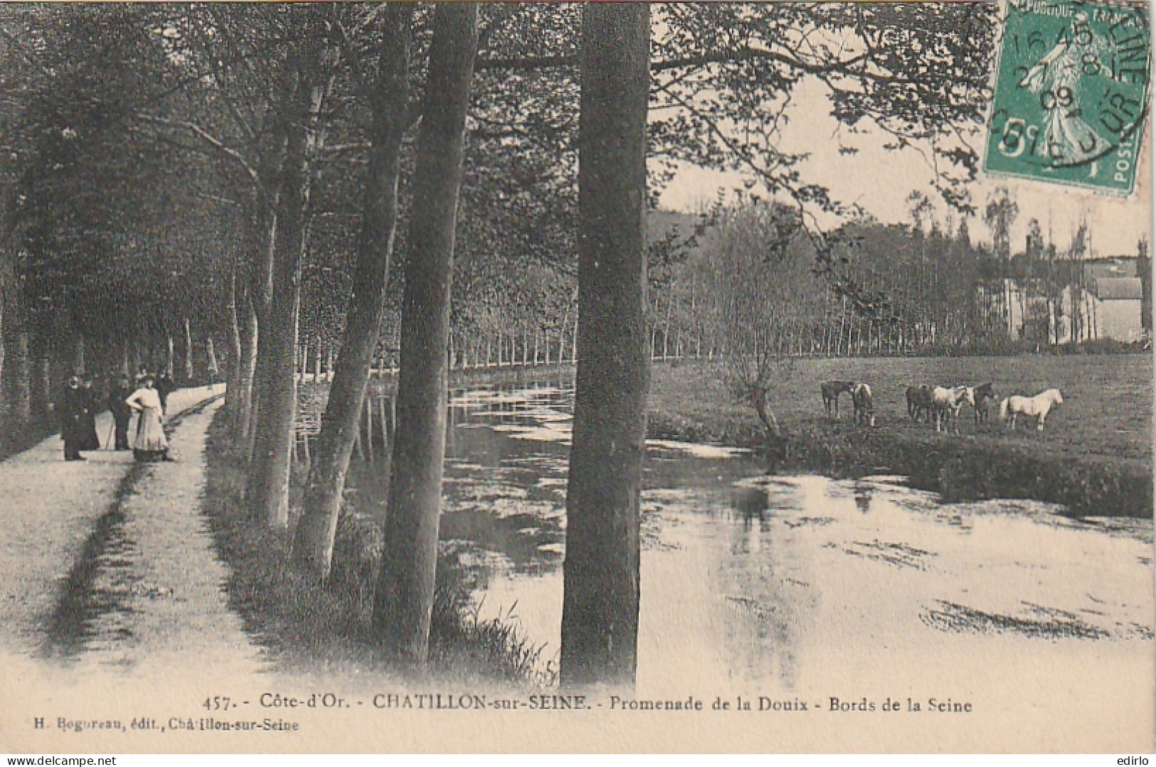 ***  21 ***   CHATILLON SUR SEINE  Promenade De La Douix Bords De La Seine TTBE   - Chatillon Sur Seine