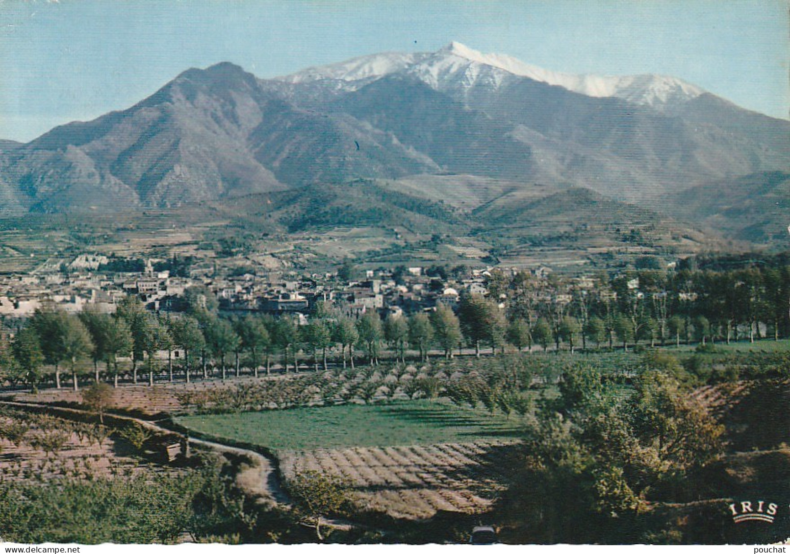 Z+ 16-(66) PRADES  ET LE MASSIF DU CANIGOU - CARTE COULEURS - 2 SCANS - Prades