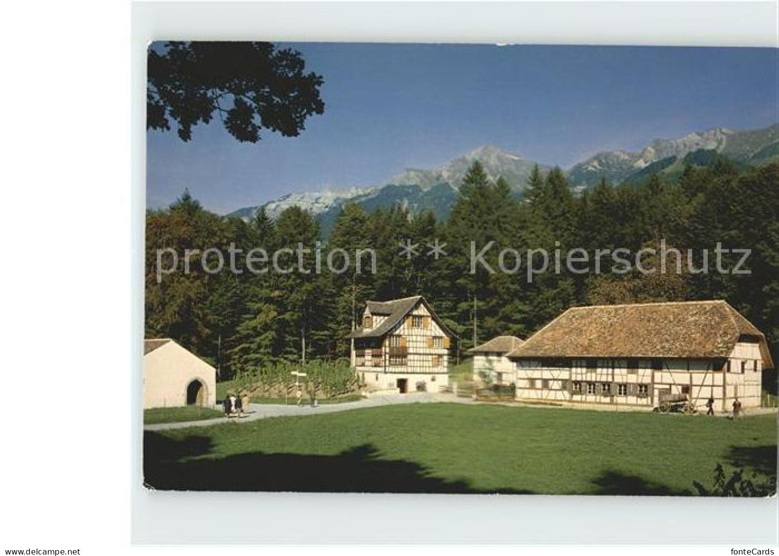 12014411 Brienz BE Schweizer Freilichtmuseum Ballenberg Haus Von Uesslingen Thur - Sonstige & Ohne Zuordnung