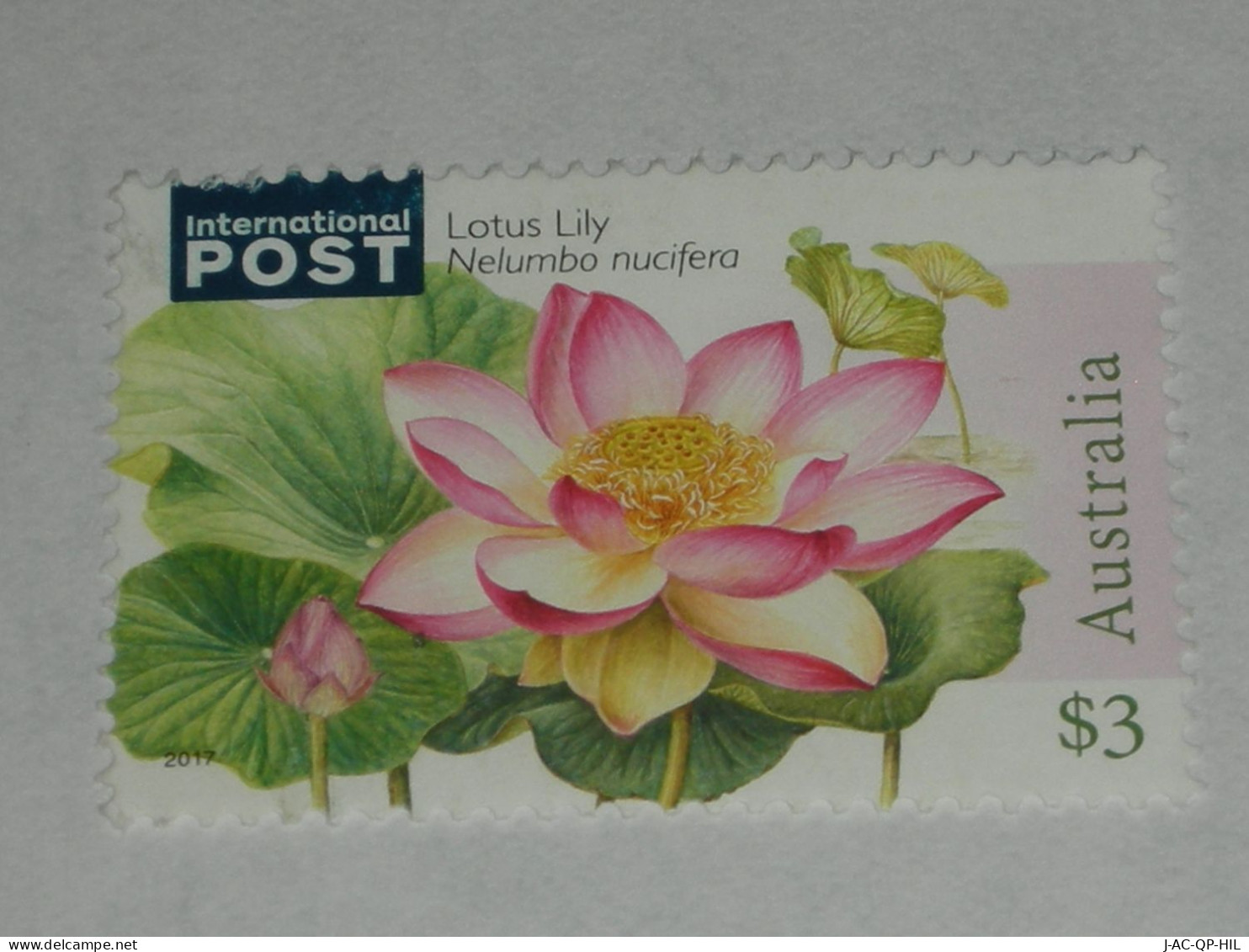 AUSTRALIE 2017 LOTUS LILY FLOWER - Used Stamps