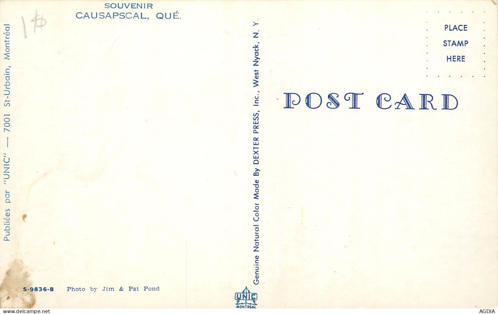 LOT 6 CARTES - CAUSAPSCAL, QUÉBEC - MULE DEER, BRISTISH COLUMBIA - CHASSE, CHEVREUIL - CHIEN - 5 - 99 Postcards
