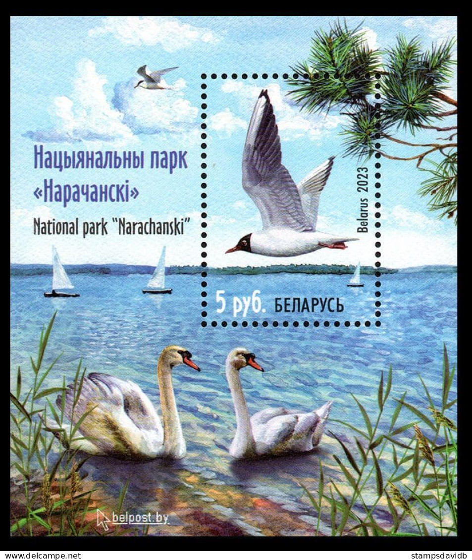 2023 Belarus 1505/B224 Birds - Narochansky National Park 7,50 € - Marine Web-footed Birds