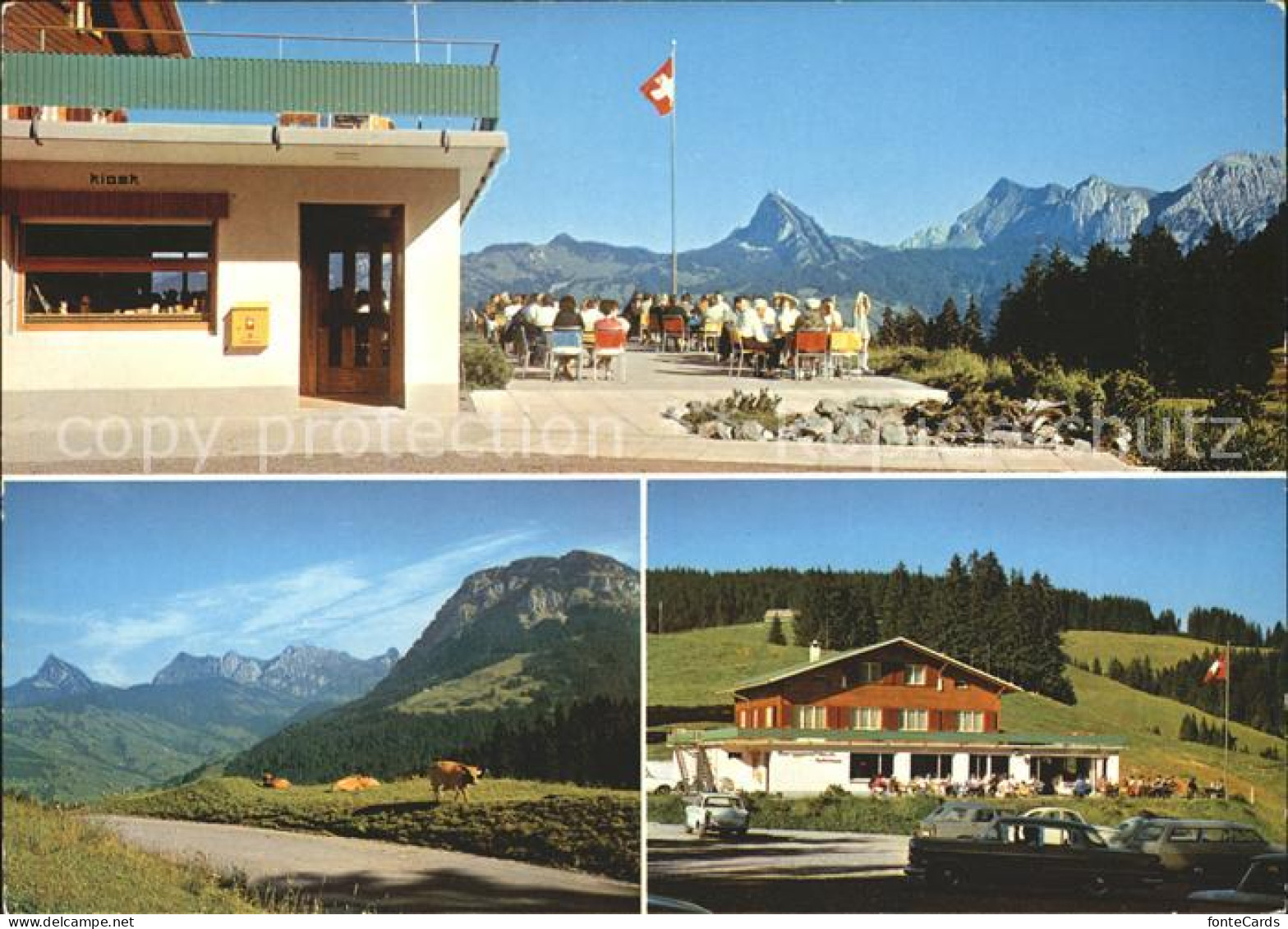12011480 Sattelegg Grindelwald Berggasthaus Sattelegg Terrasse Panorama Satteleg - Sonstige & Ohne Zuordnung