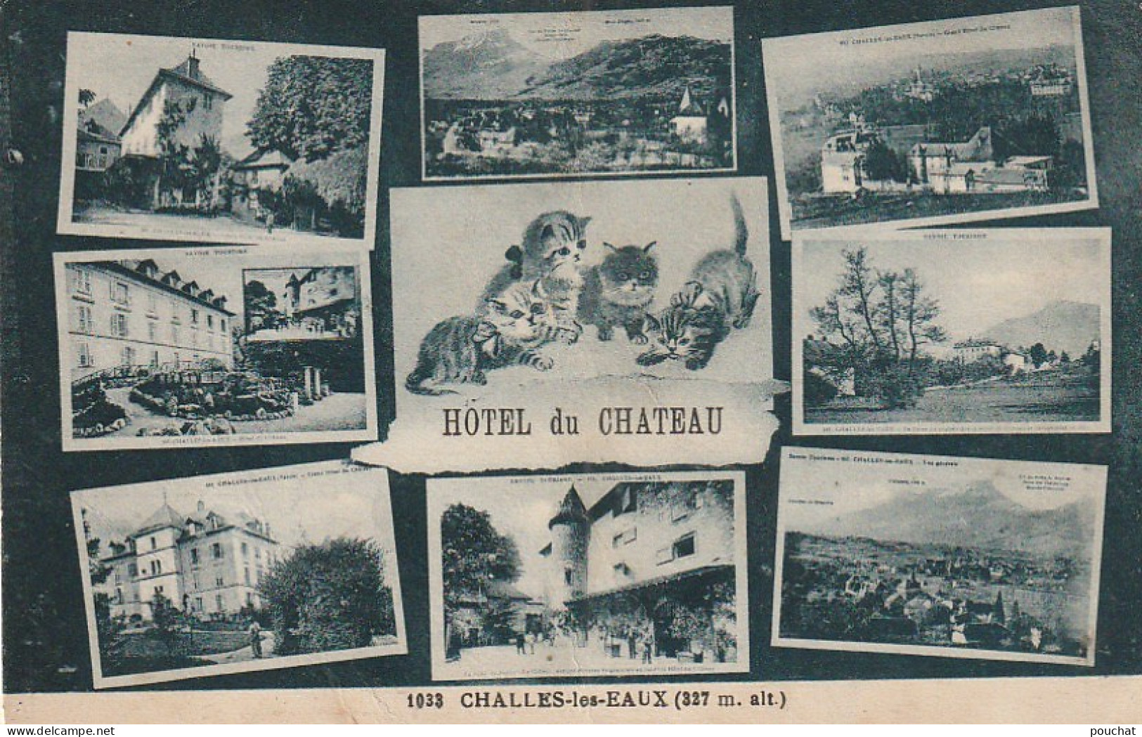 Z+ Nw 35-(73) CHALLES LES EAUX - HOTEL DU CHATEAU - CARTE MULTIVUES  - Souvenir De...