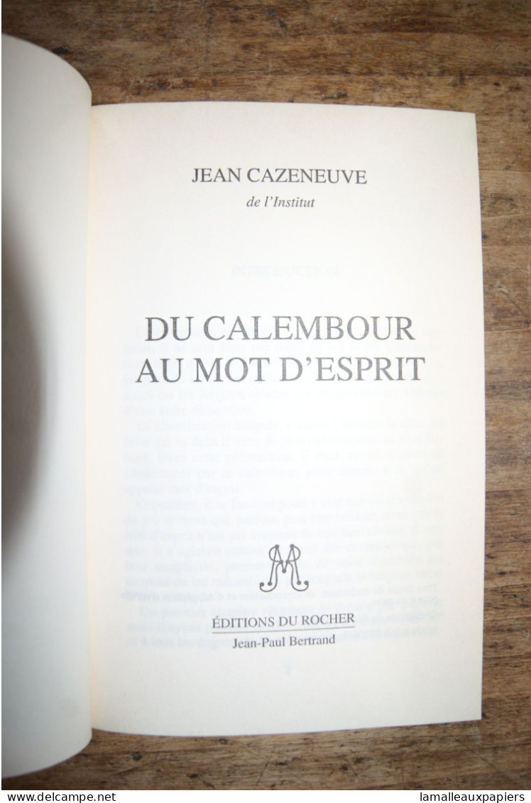 Du Calembour Au Mot D'esprit (J.CAZENAVE) 1996 - Psychology/Philosophy