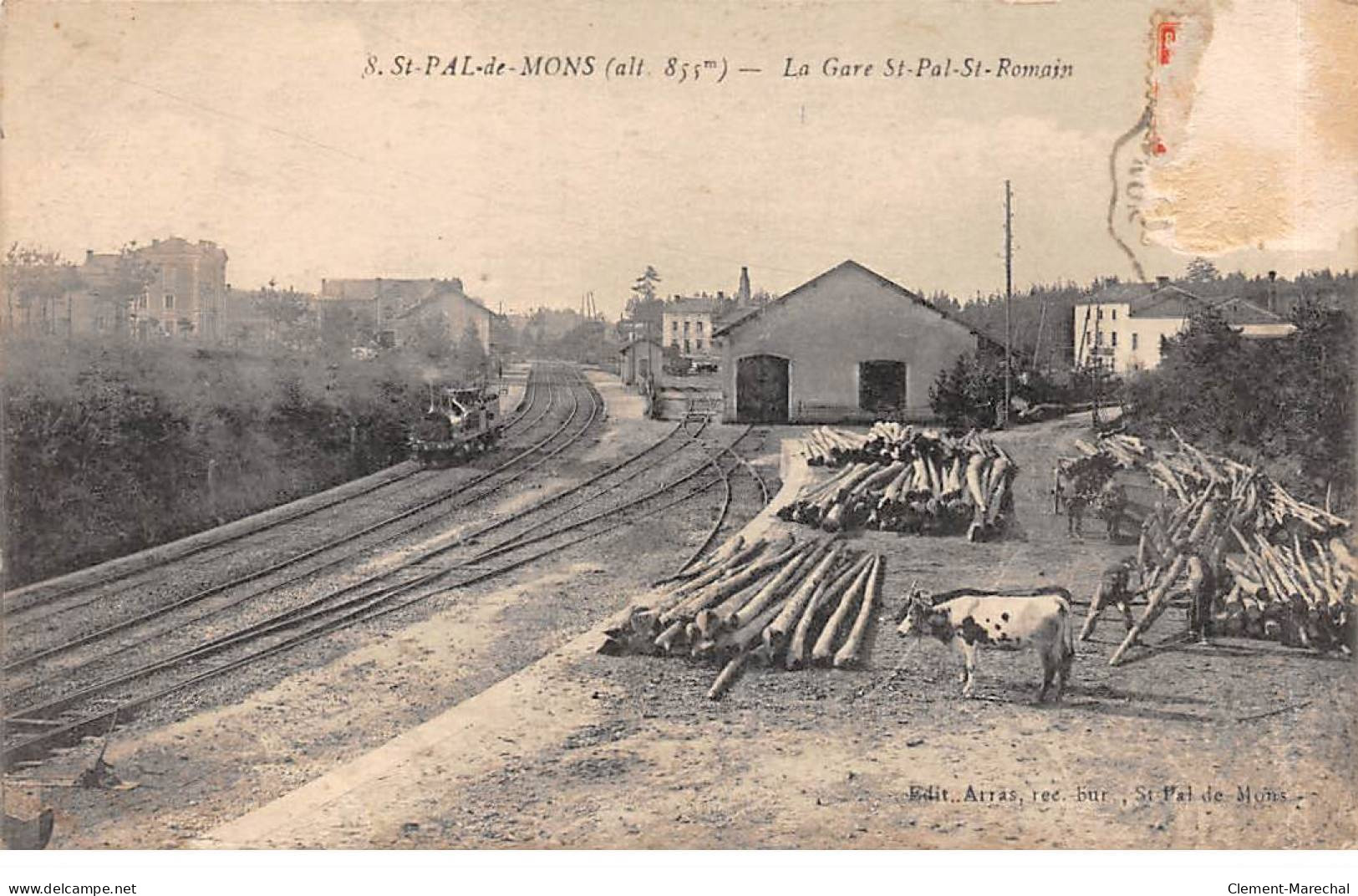 SAINT PAL DE MONS - La Gare Saint Pal Saint Romain - état - Sonstige & Ohne Zuordnung