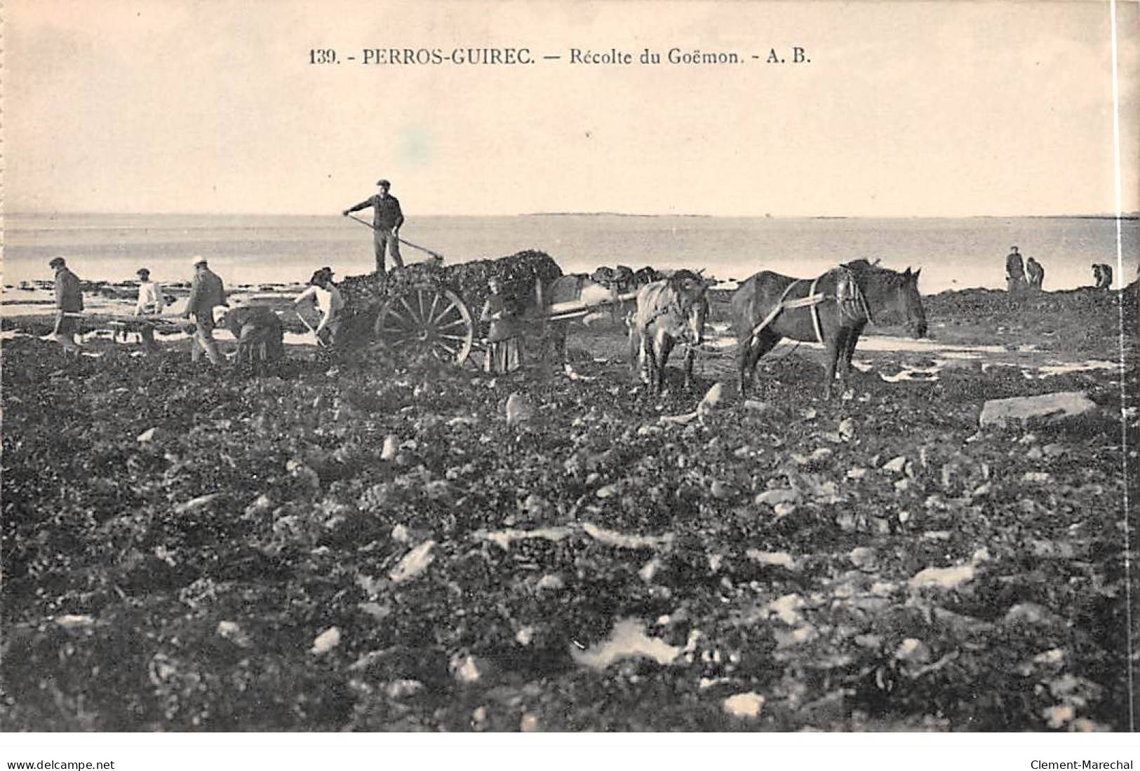 PERROS GUIREC - Récolte Du Goëmon - Très Bon état - Perros-Guirec