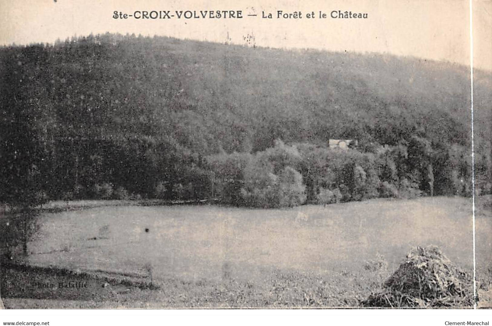 SAINTE CROIX VOLVESTRE - La Forêt Et Le Château - Très Bon état - Other & Unclassified