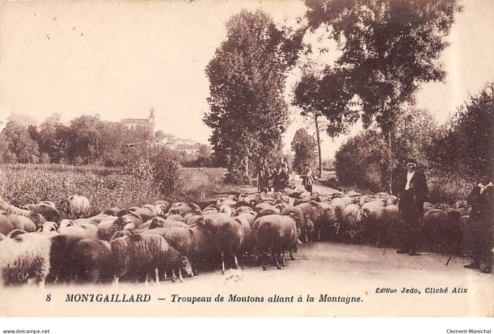 MONTGAILLARD - Troupeau Du Moutons Allant à La Montagne - Très Bon état - Otros & Sin Clasificación