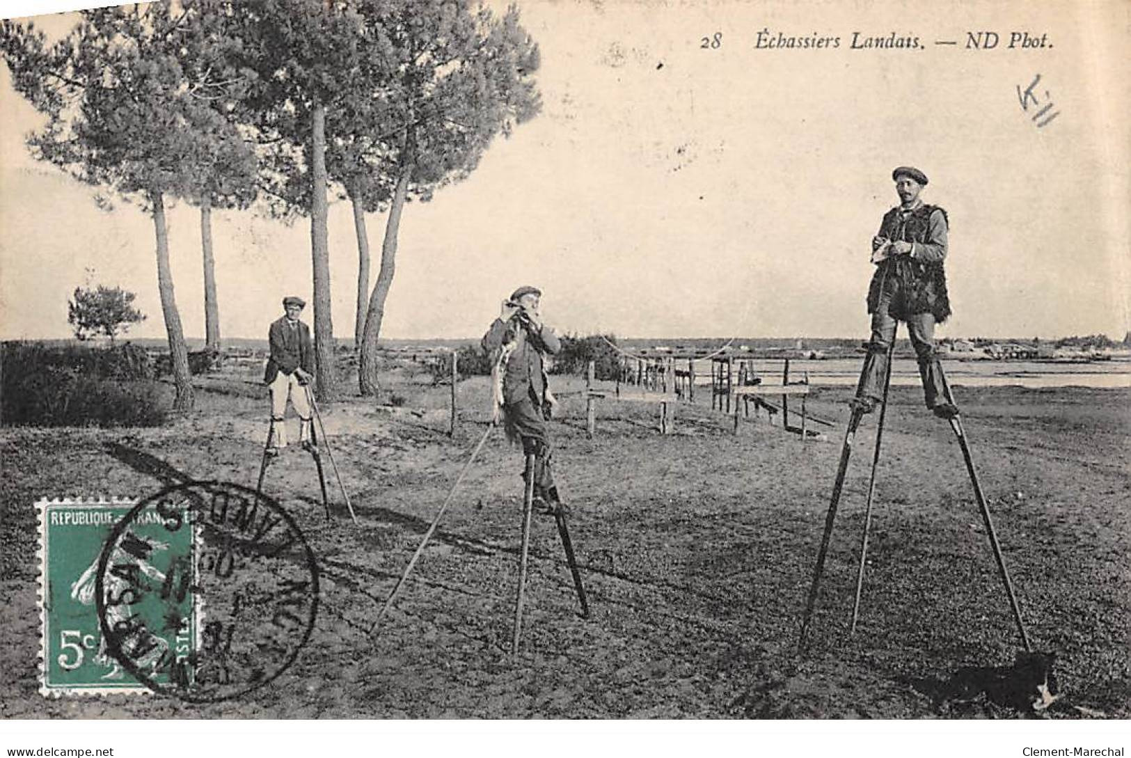 Echassiers Landais - Très Bon état - Otros & Sin Clasificación